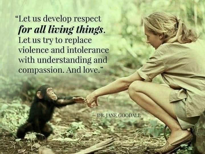 Renee Barnett tweet media