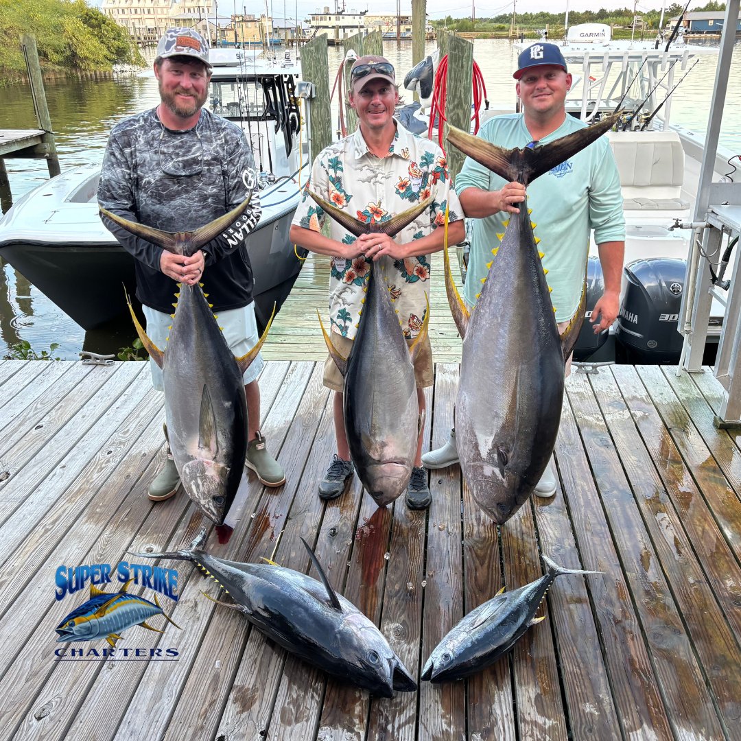 DPMSSC's tweet photo. π£ The Wasson crew from MS went offshore with Captain Willy B & brought in monster yellowfin tunaβincluding a 120 lb giant! Whoβs next to reel in a trophy?
π² Book now: https://t.co/PFnuttTKoo | 985-640-0772
#YellowfinTuna #FishingAdventure #CaptainWillyB #SuperStrikeCharters https://t.co/291OQZWsSQ