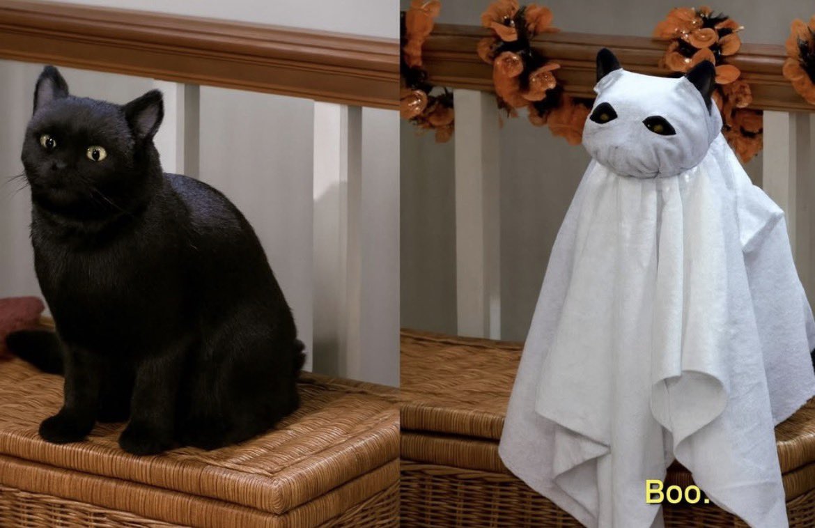 MandyforCO's tweet photo. I’m a Halloween baby and I celebrate all month! Some of my fave Sept 30th/Oct 1st pics I’ve seen today. 🎃 https://t.co/TzHJdBEFbW