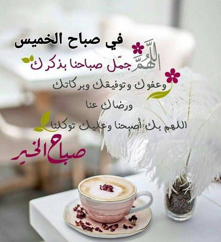 co___14's tweet image. تـولّنـا وتـولّ اختيـاراتنـا وحياتنـا
يـارب لِـ طـريقً تُحِبُـه ونُحِبُـه ✨
#صباح_الأشياء_المُشرقة
#اوفيا_لسعادتكGp
#اصدقاء_حلا_للتبادل
#ملوك_العالمي
#الطنايا_للاضافات