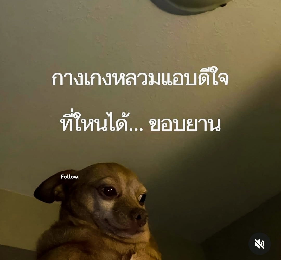 🅞🅝🅔 + tweet media
