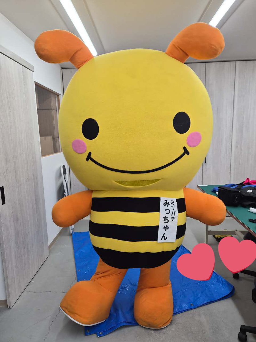 みっちゃんさん専用 ミツバチみっちゃん【公式】 on X: 