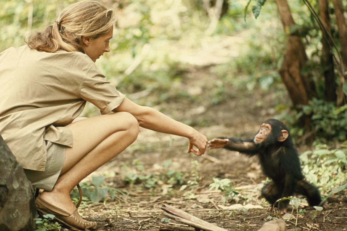 A remarkable woman. Rest in peace, Dr. Jane Goodall.