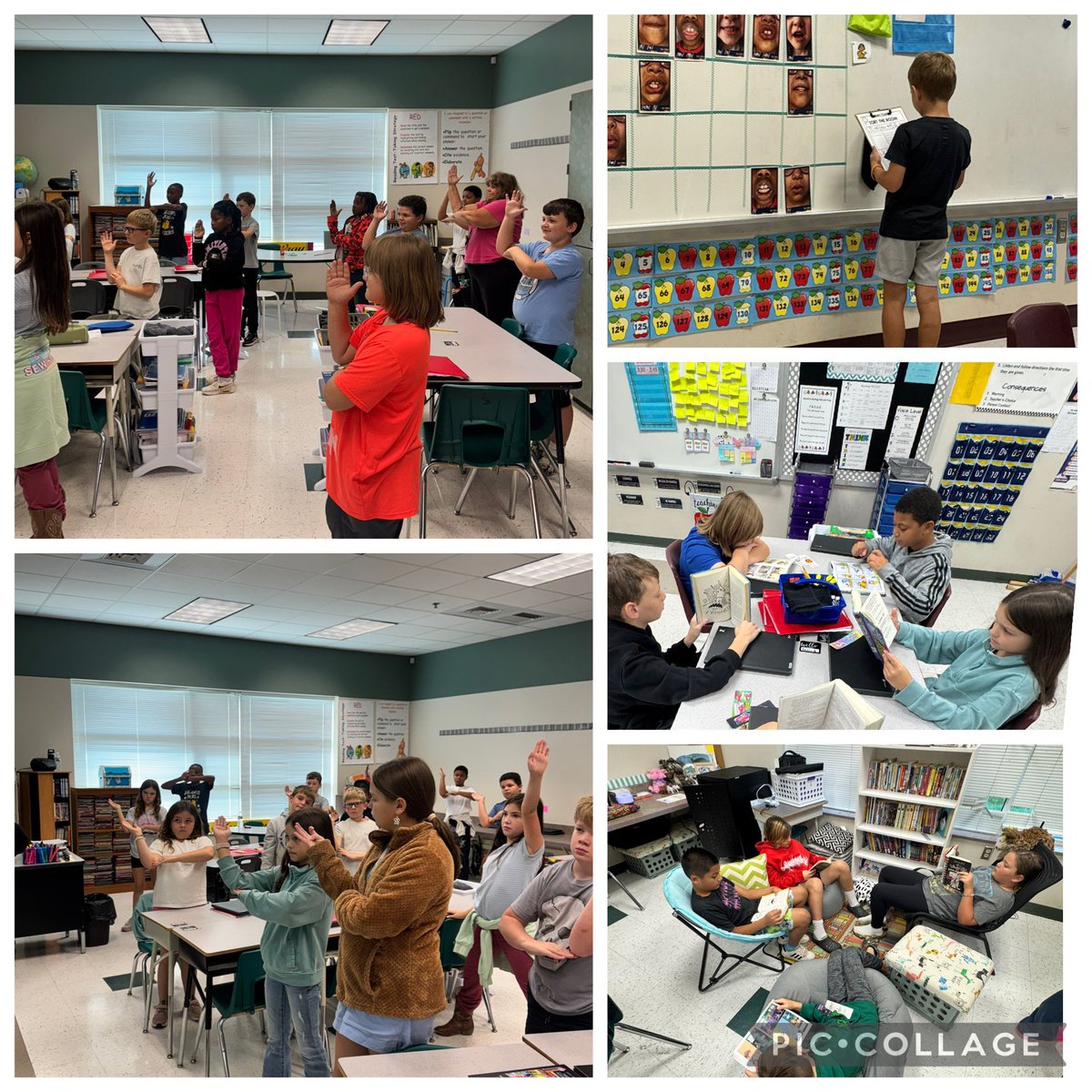 misty_slade's tweet image. 📚 Great learning happening all throughout the building today! 🎉 Students are fully engaged in reading, math, and literacy centers—growing their skills and love for learning. 🌟 #gallopingintogreatness @MonroetonElem @RCS_NC @J_Sizemore82