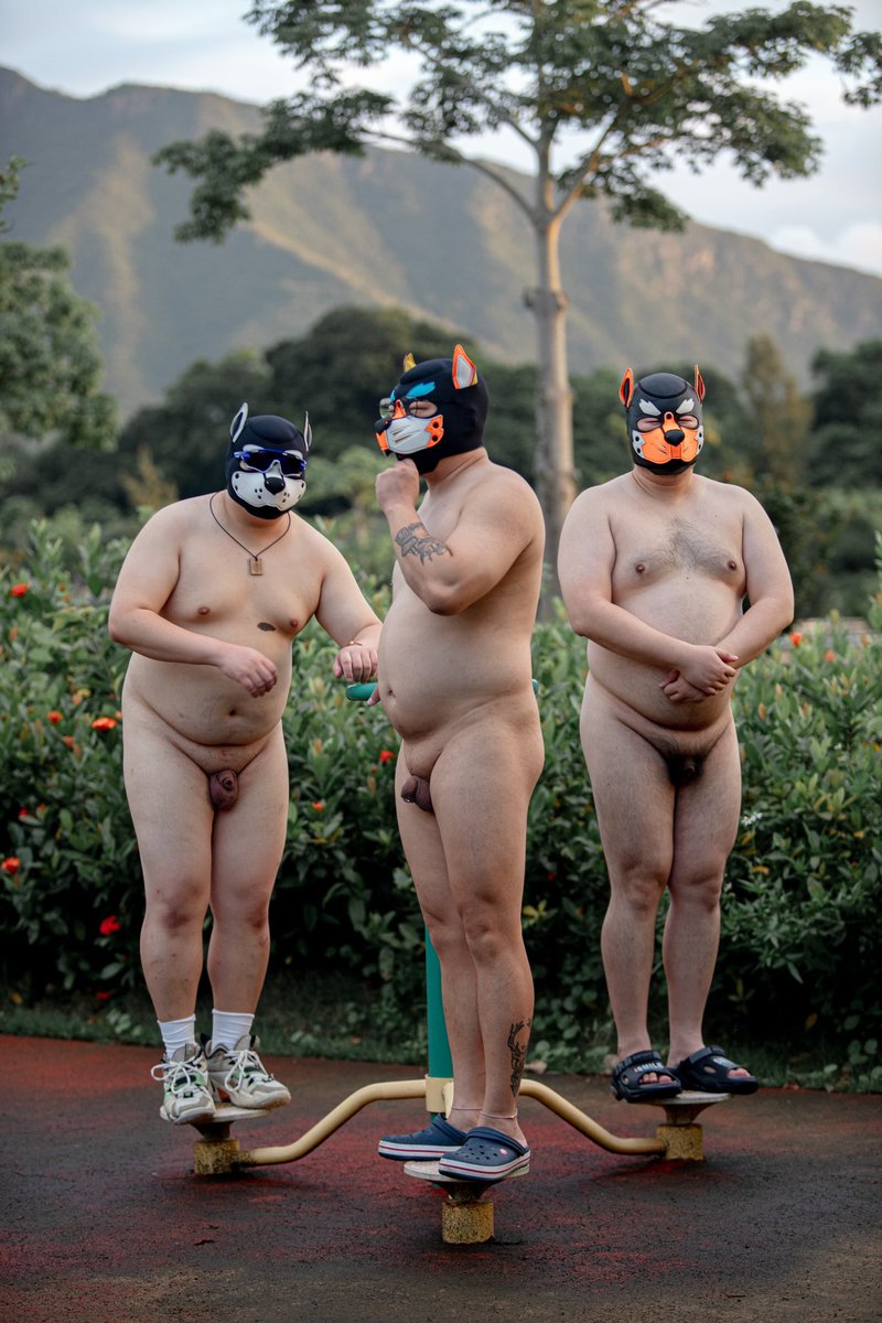 天体茶会 tweet media