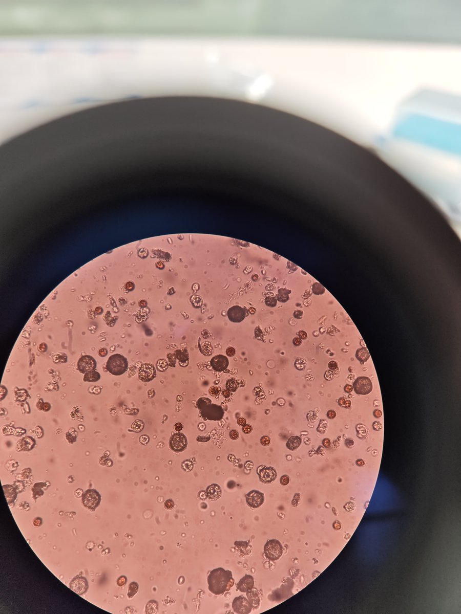 Youfang Sun tweet media