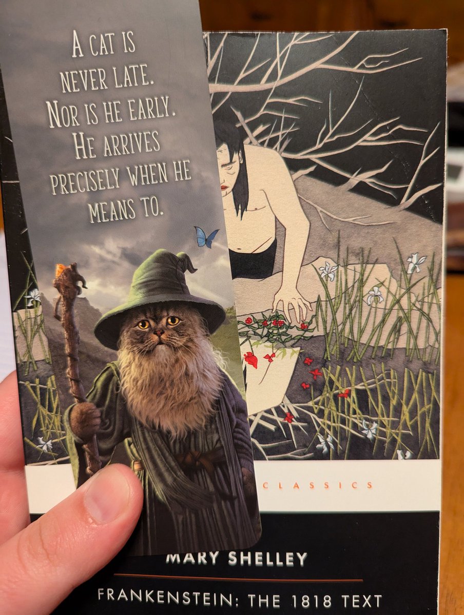 Digging into this classic for the first time, and with a new (or mew 😉) favorite bookmark.

Yes, I am corny.

#frankenstein #classics #read