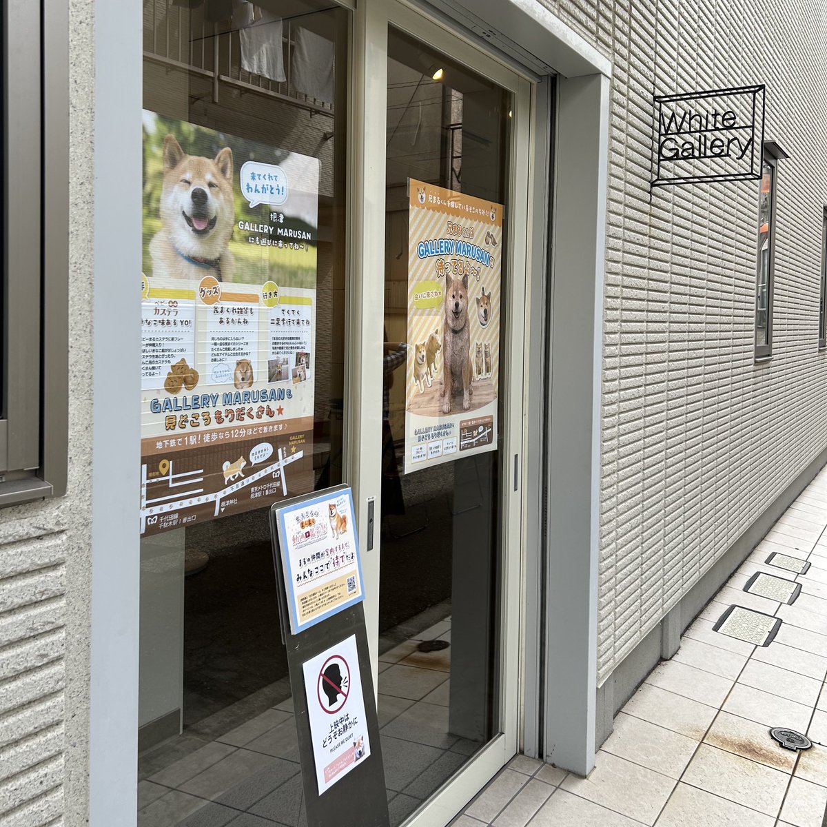 marutaro_shop's tweet photo. 「柴犬まるのまんまる動画鑑賞会」
本日よりいよいよ開幕！
千駄木のWhite galleryで、思わず笑っちゃったりほっこり癒されたり…楽しい時間をお過ごしください☺️
当日券もグッズもカレンダーもあるよ！
お待ちしてまーす🥰

#柴犬まる
#柴犬まる動画鑑賞会 https://t.co/7FgtGky7j7