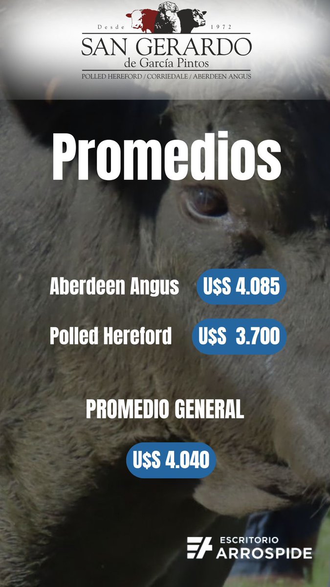 Gerardo Garcia Pintos tweet media