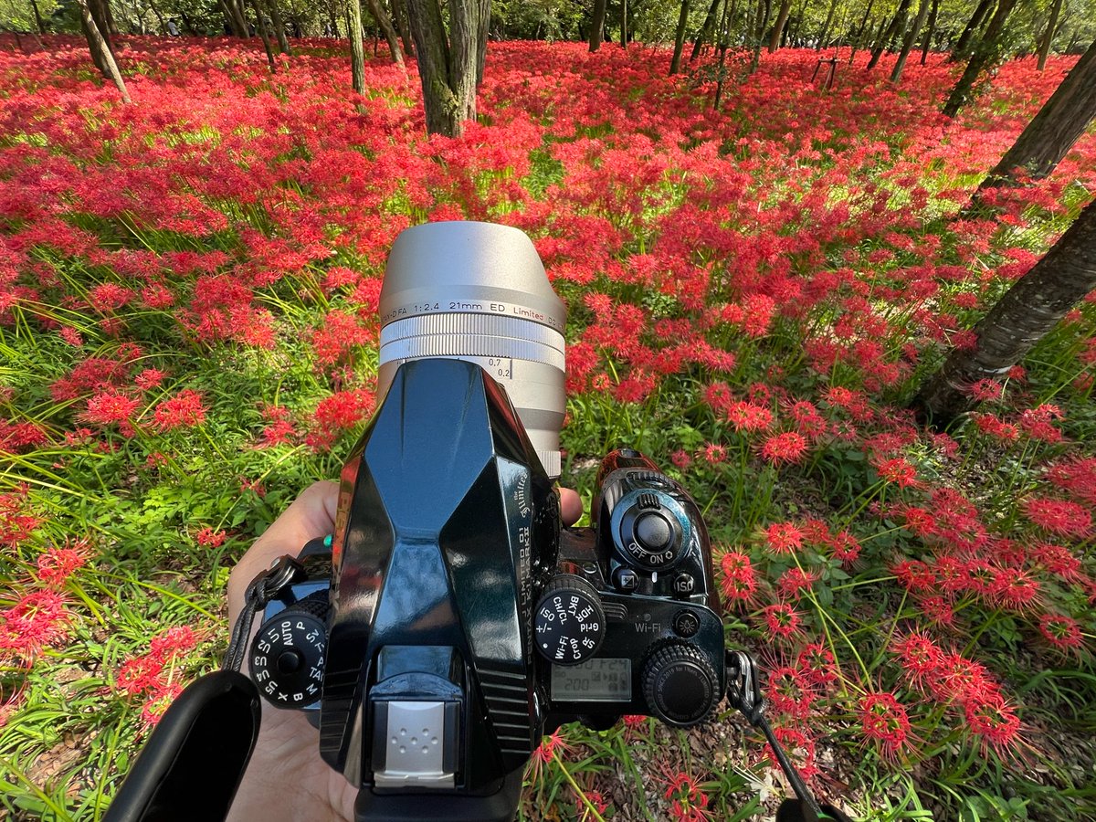 PENTAXXER's tweet photo. (AF)速度も要らなきゃ連写も要らぬ、あたしゃも少しバッファが欲しい😅
いやー、もうバッファさえ積んでくれれば自分はそれだけでも充分なんですけどね💦
#PENTAX #K1II #K1III https://t.co/1y1p3YizKJ