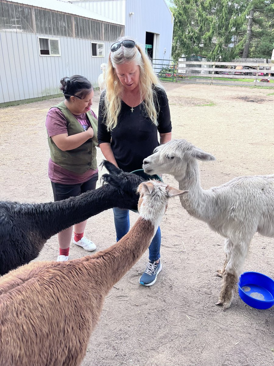 rb_transition's tweet image. Perfect day at Magic Meadows Alpaca Farm! 🦙☀️ We rescheduled due to rain and lucked out with the best weather. Huge thanks to Sally for being such an informative and kind host. Grateful for today! #communitybasedlearning