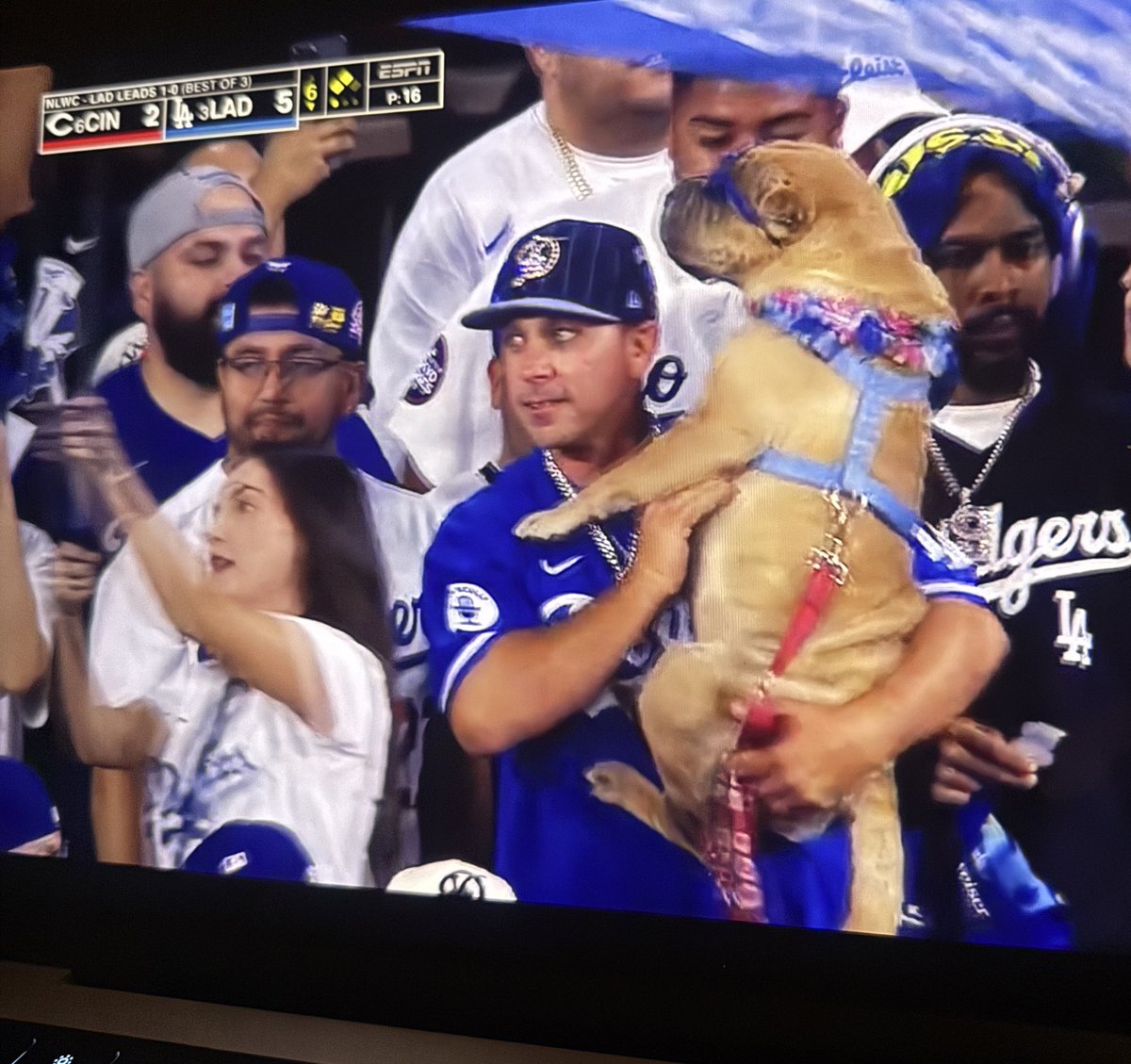 rye ౨ৎ tweet media