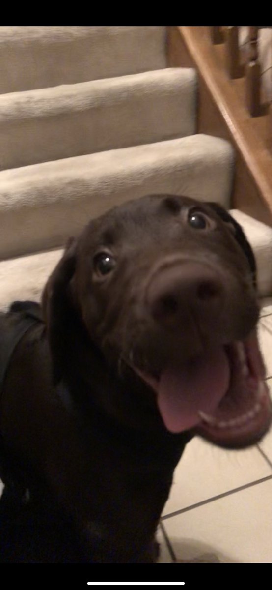 Alex Crowe tweet media