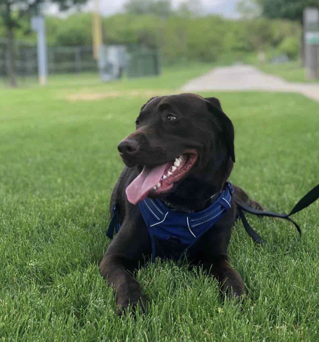 Alex Crowe tweet media