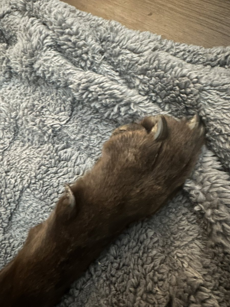 Alex Crowe tweet media