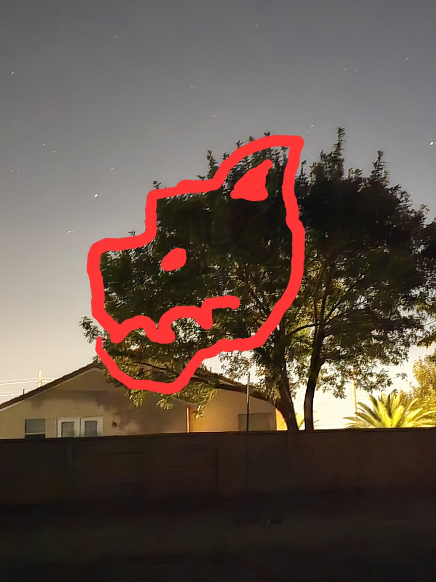 The_GhostofCali's tweet photo. Ok, I need yall to tell me you see this dog in this tree. My mods keep saying Im crazy https://t.co/Lokk6iTXdf