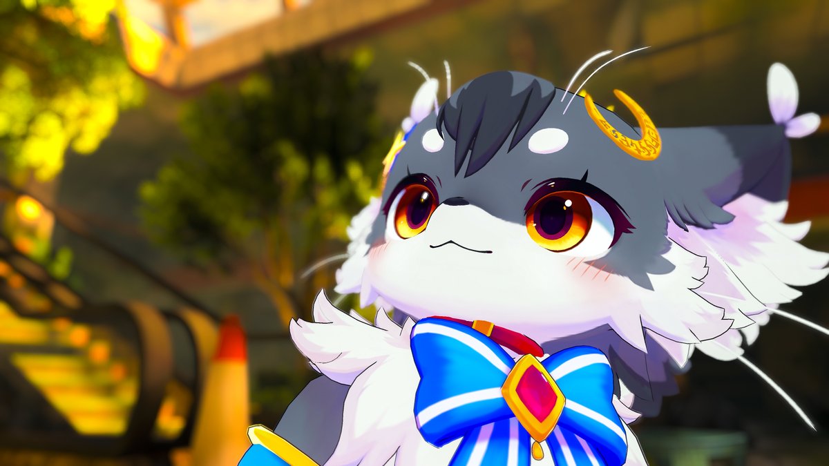 こねこのるぅ@旅・食・遊びのアイドルニャンコ▶Vketアンバサダー二期生✨👑🌙 tweet media