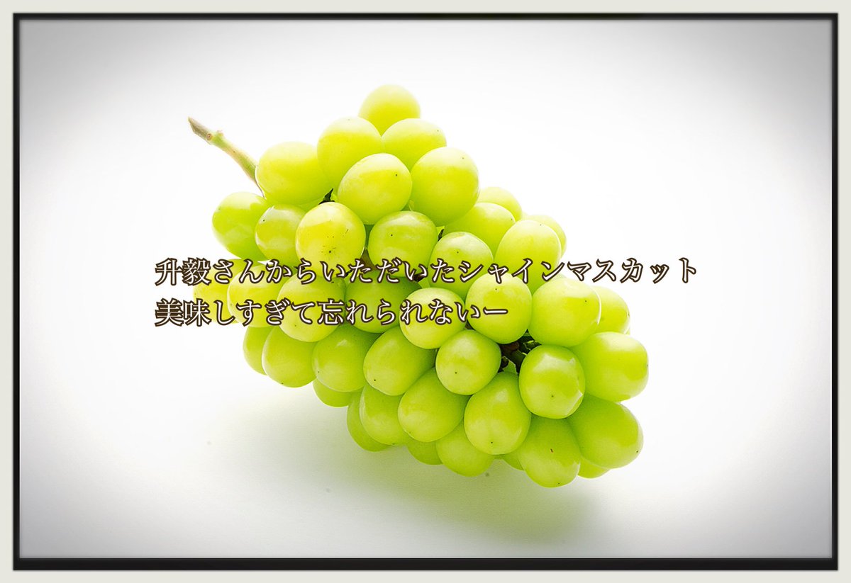 ぜーんぶ楽しんでもらいたい - البحث / X