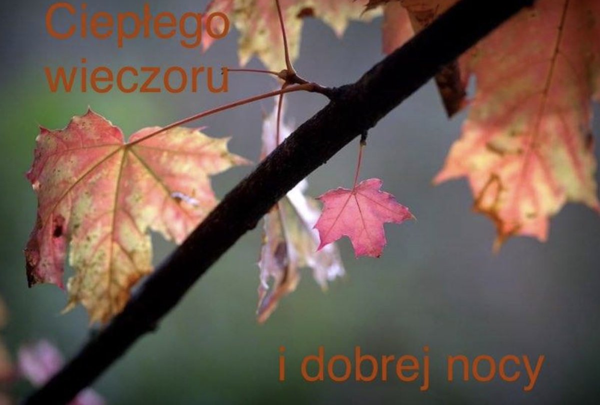 ks. Marek Jan Pytko (@marekjanpytko) on Twitter photo Niech PAN Cię błogosławi!+ Niech PAN Cię błogosławi!+