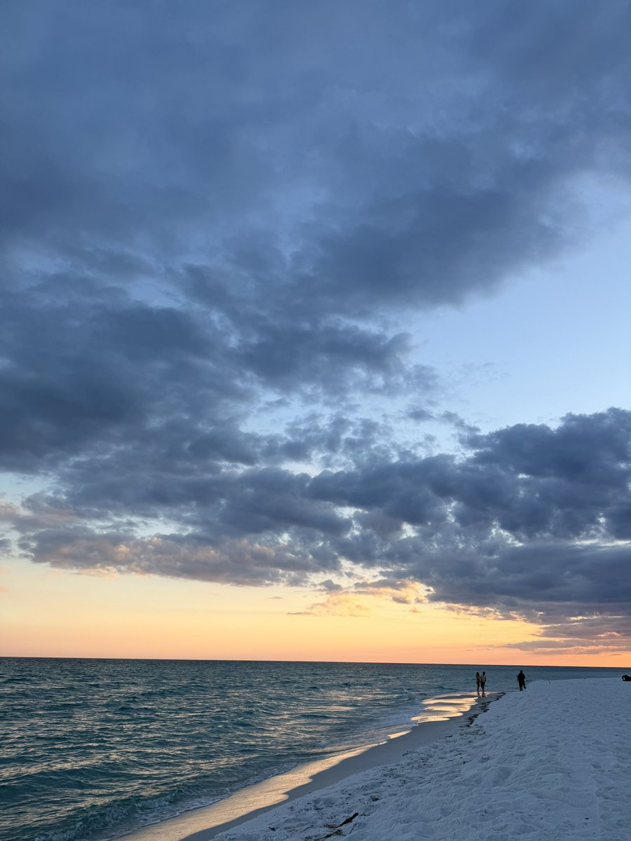 maddy. 🩷 tweet media