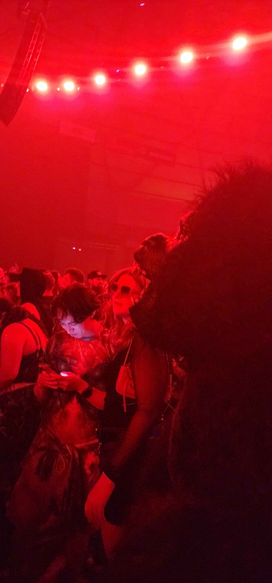 Chanrom2's tweet photo. I was dancing with Sasquatch at a DJ Diesel set. What a night lol https://t.co/9WEy6BoORt