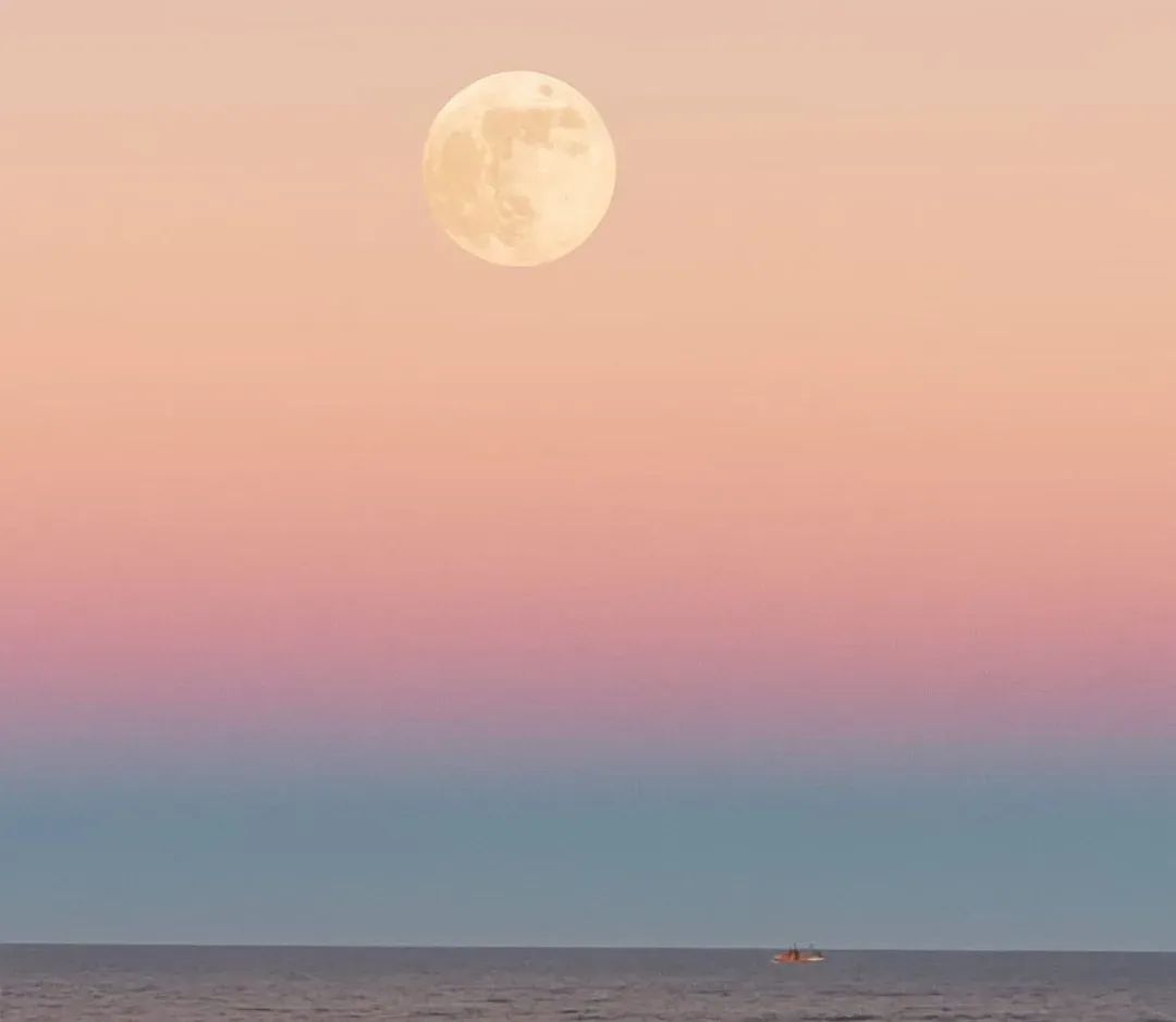 La luna sobre el mar en los atardeceres patagónicos.🤩🌕
📍 Playa Unión, #Chubut. 🇦🇷

📸 Gustavo Martín
#PlayaUnion #Rawson