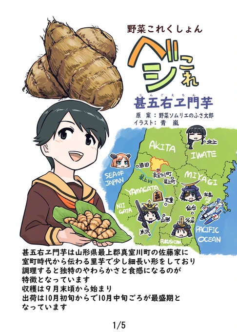 野菜これくしょん ベジこれ 第53弾 甚五右ヱ門芋編1/2 
今回も野菜ソムリエのふさ太郎さん@yukimifusaとの合作でお送りします 