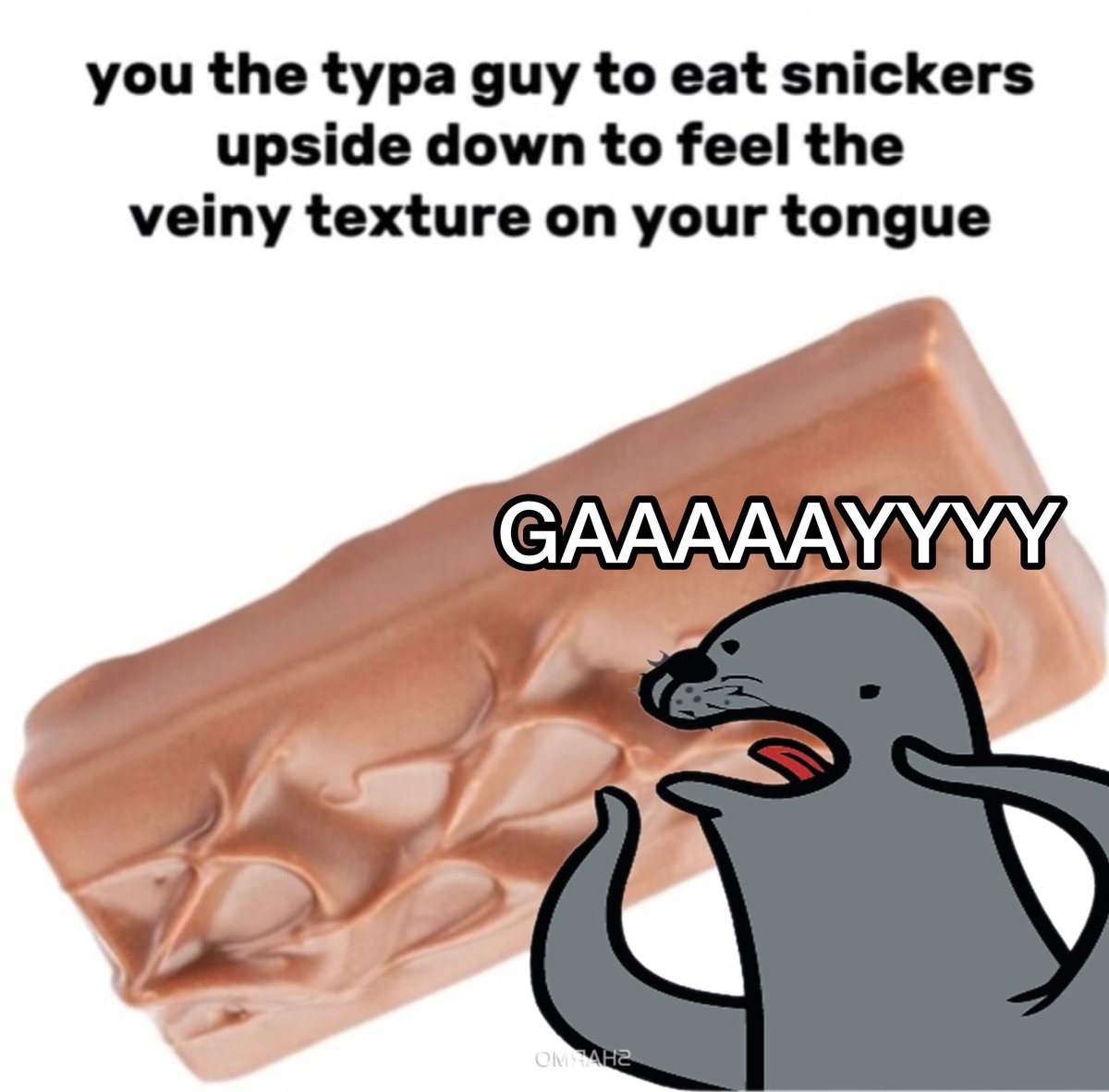 1Homophobicseal's tweet image. What’s up you upside down snicker eaters! Ready to get called out again?