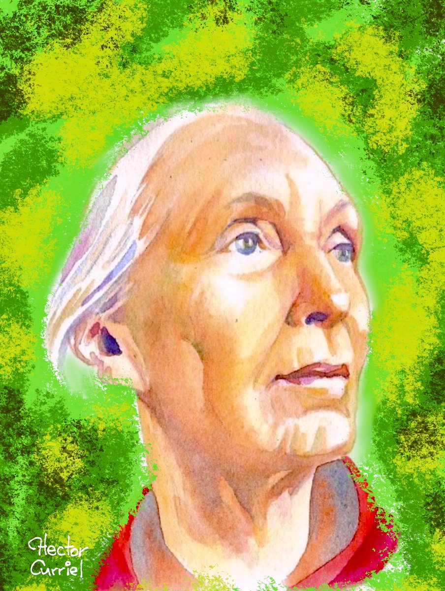 Honoring the renowned conservationist Jane Goodall who passed away today. 
#JaneGoodall #Nature <a href="/JaneGoodallInst/">Dr. Jane Goodall & the Jane Goodall Institute</a>