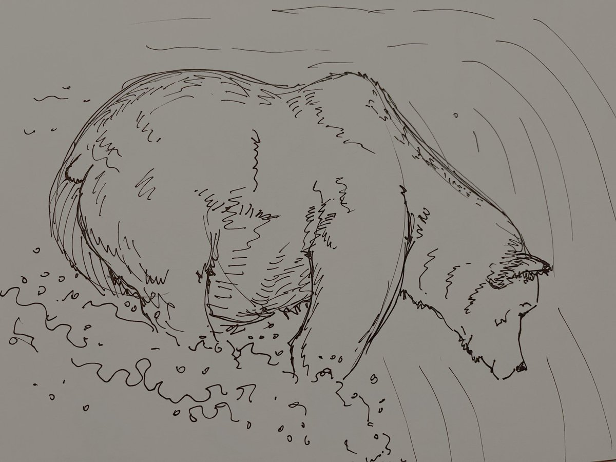 emiibears's tweet photo. coming back out of my long hibernation because it’s Octobear again!! 
For day 1 I just have some quick, loose sketches to try to get back in the swing of drawing again. Summer was really busy so I couldn’t draw much, but I’m hoping to do lots of focuses study this month! https://t.co/mfRGVodHgt