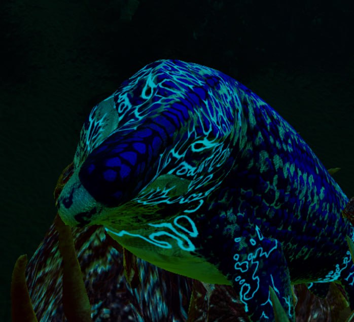 Pingwin_adelie's tweet image. Поиграла в Бермуде на мозе, внезапно захотелось её нарисовать. Моя селёдочка ещё не такая большая, как у остальных игроков на сервере, но уже способна быстро уплывать от опасности🎀 Милая рыбка, правда?

#dinosaur #beastsofbermuda #bob #oc #art #digital #digitalart