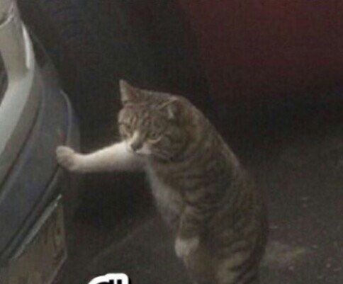 น้องนนท์ไหวไหมลุ้ก ไม่ไหวก็ให้พี่ซานอุ้มพาวิ่งนะลูกนะ

ZOMVIVOR SERIES SOON
#TRAILERZOMVIVOR
#ตัวอย่างมหาลัยคลั่ง