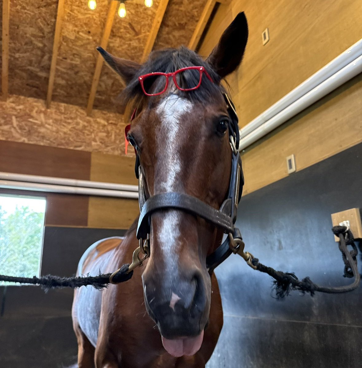 iss870k's tweet image. 表情が完璧過ぎる