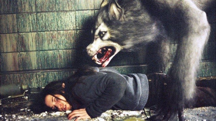 MagicHandz's tweet photo. Ah man, I wasn’t feeling this one too much, it was like horror for teens and wasn’t scary enough but it had some good moments. #GingerSnaps2 ⭐️⭐️⭐️✨ https://t.co/SKXqMcG1EE