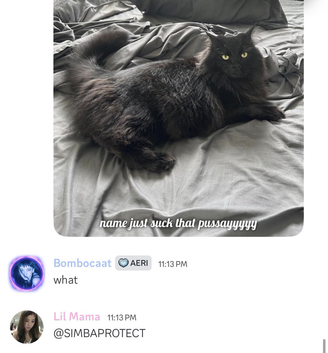 SimbaProtect's tweet photo. Inappropriate memes being sent in Discord server. https://t.co/tCLuyNgz1q