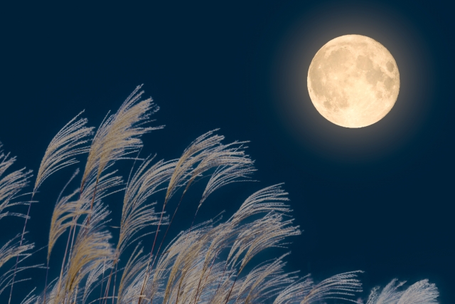 【2025/10/1】秋のお片付けに！査定お待ちしております。 antiqueclub.jp/%e3%80%902025-…