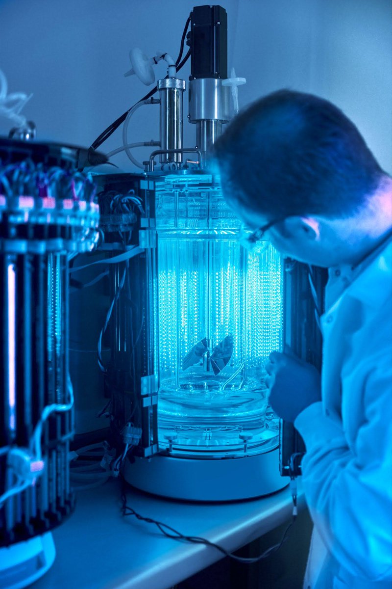 They fit right in! ⚙️

Prolific has developed add-on illumination systems—which can be adapted universally—for every bioproduction context. This versatile set-up does not constitute a bottleneck to platform deployment.

Learn more about the platform here: prolific-machines.com/genetic-tools