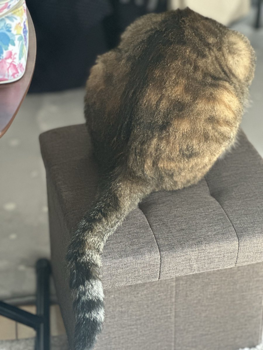 も～ (@mori2ta) / X