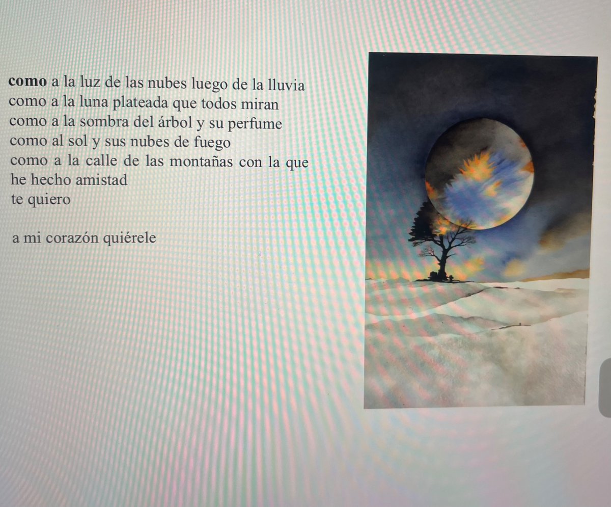 Dianafzc's tweet photo. Leyendo, por primera vez, la bella poesía de Yana Lema Otavalo, a través de la app de @LectorizLLC, cada verso te transporta a los sonidos, olores y matices de nuestra serranía amada, evocando el amor y la nostalgia. Muy hermoso. 💚📚 https://t.co/O6HHbKbhqg