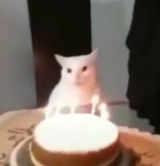 trefakase's tweet photo. oie eh meu aniversário https://t.co/wK4p0UkkSR