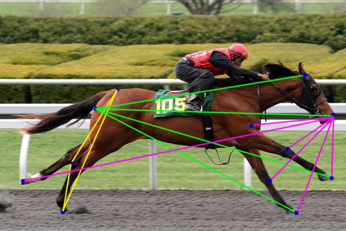 epsom80's tweet photo. When buying a horse you check:
X-rays ✅
Scope ✅
So why wouldn’t you check:
Cardio
Biomechanics
Stride Length
The more you know about a horse the better decision you can make when it comes to purchasing!
Get in touch and get ahead of the competition!! #metricsequine #data https://t.co/DHjs4gG9CT