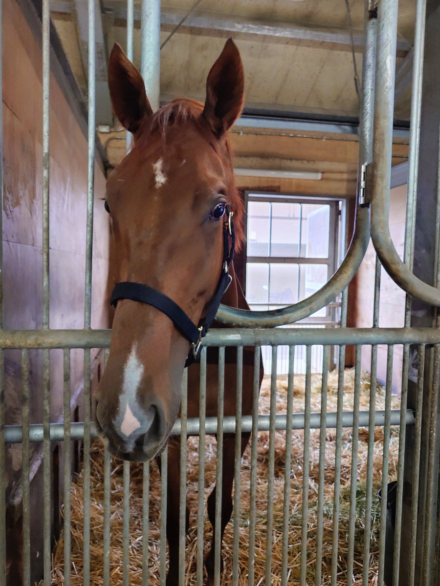 オルペ (@orfevre_2008514) / X