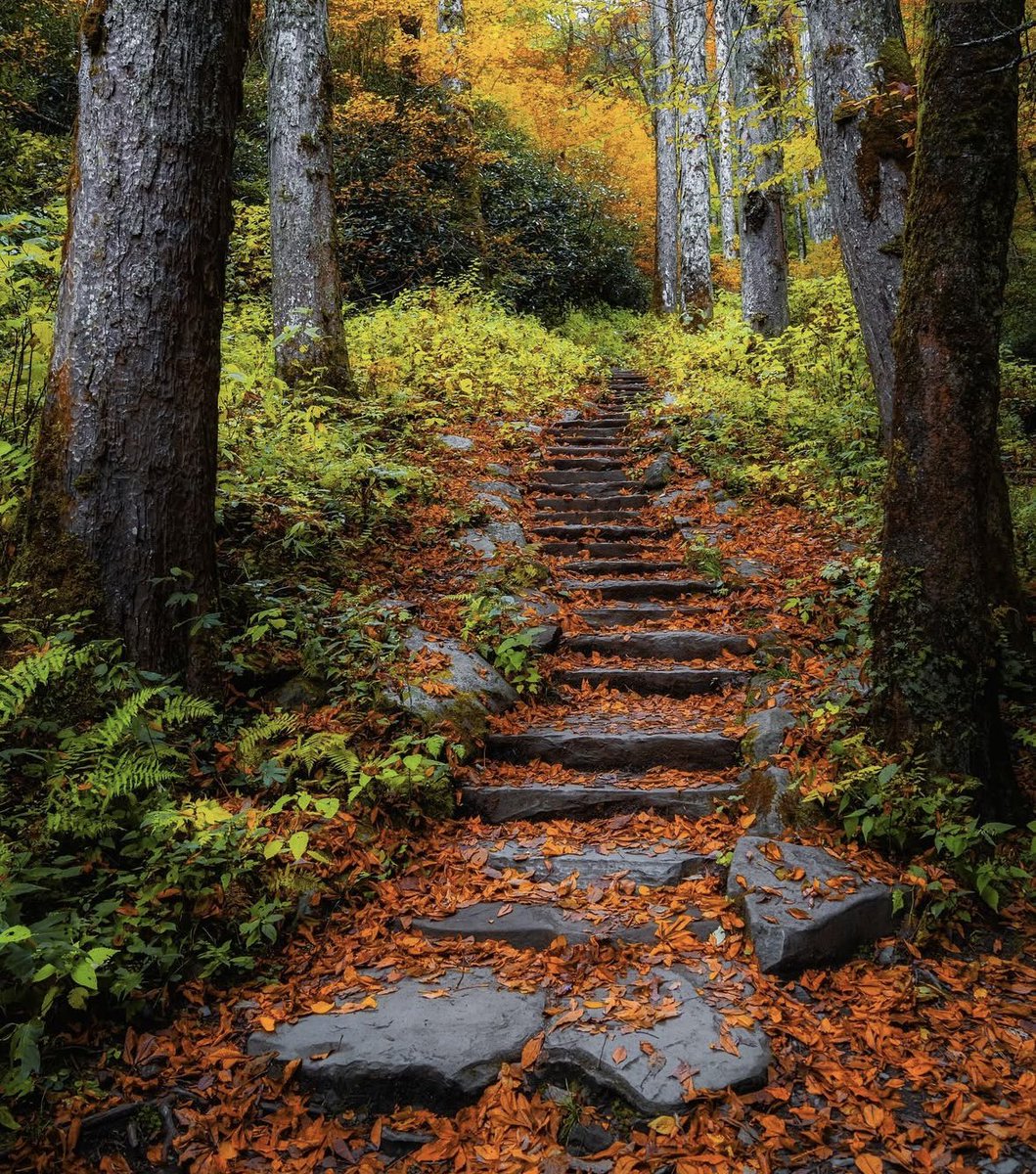 SevierFun's tweet image. Coming soon…🍁🍂

📸: timedtravels