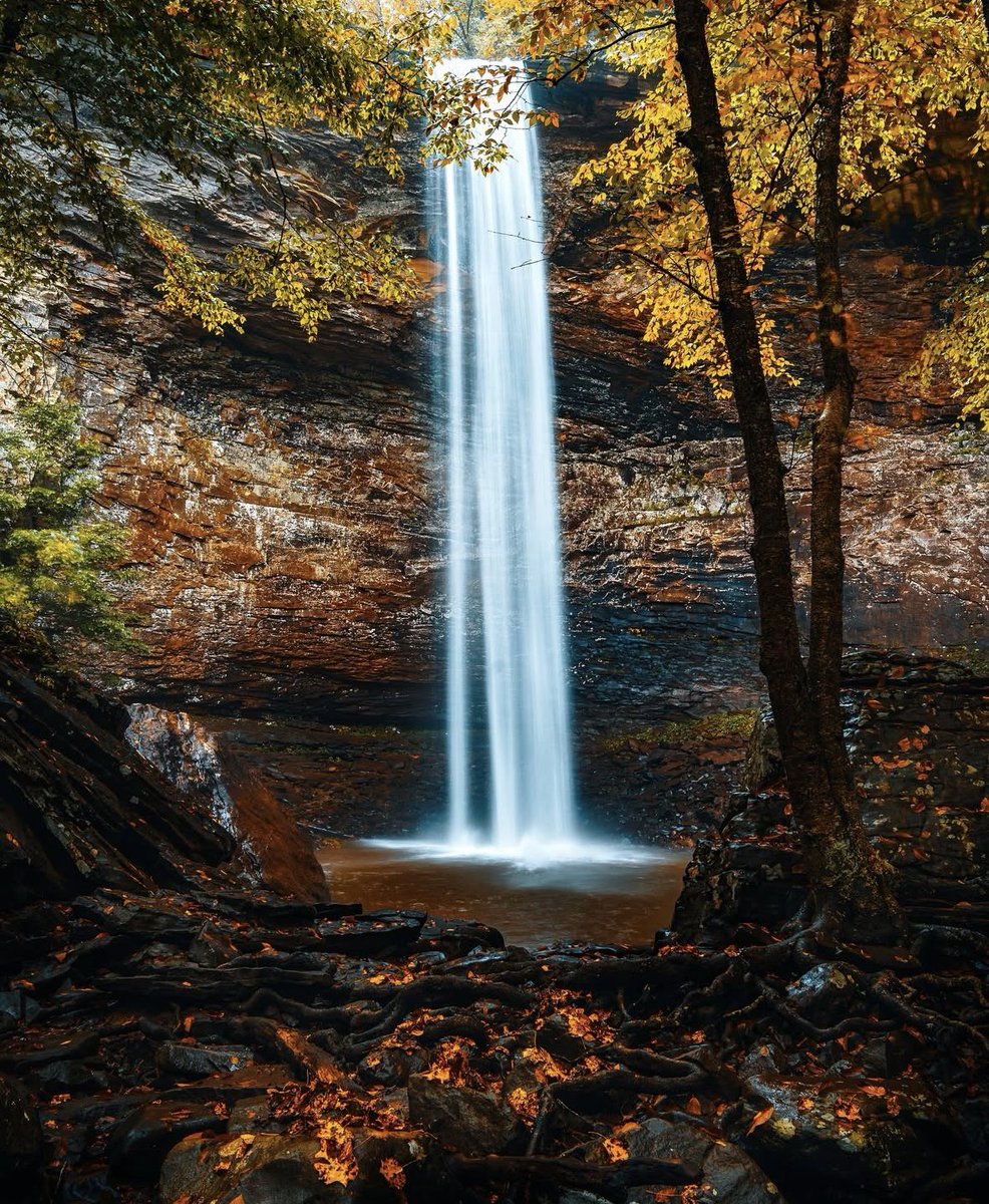 SevierFun's tweet image. Coming soon…🍁🍂

📸: timedtravels