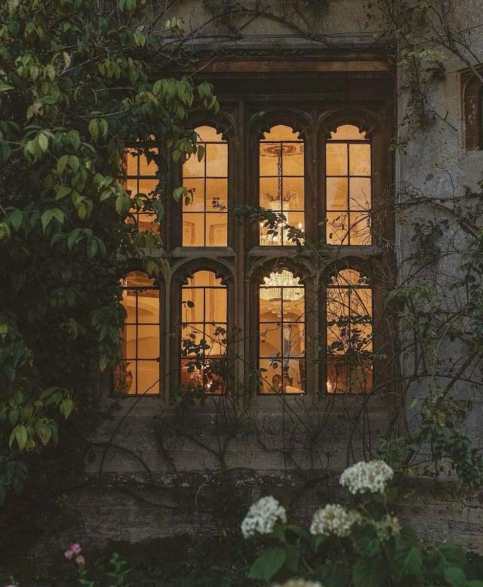 𝘉𝘭𝘶𝘴𝘩𝘪𝘯𝘨 𝘙𝘰𝘴𝘦 (@blushingrose71) on Twitter photo 