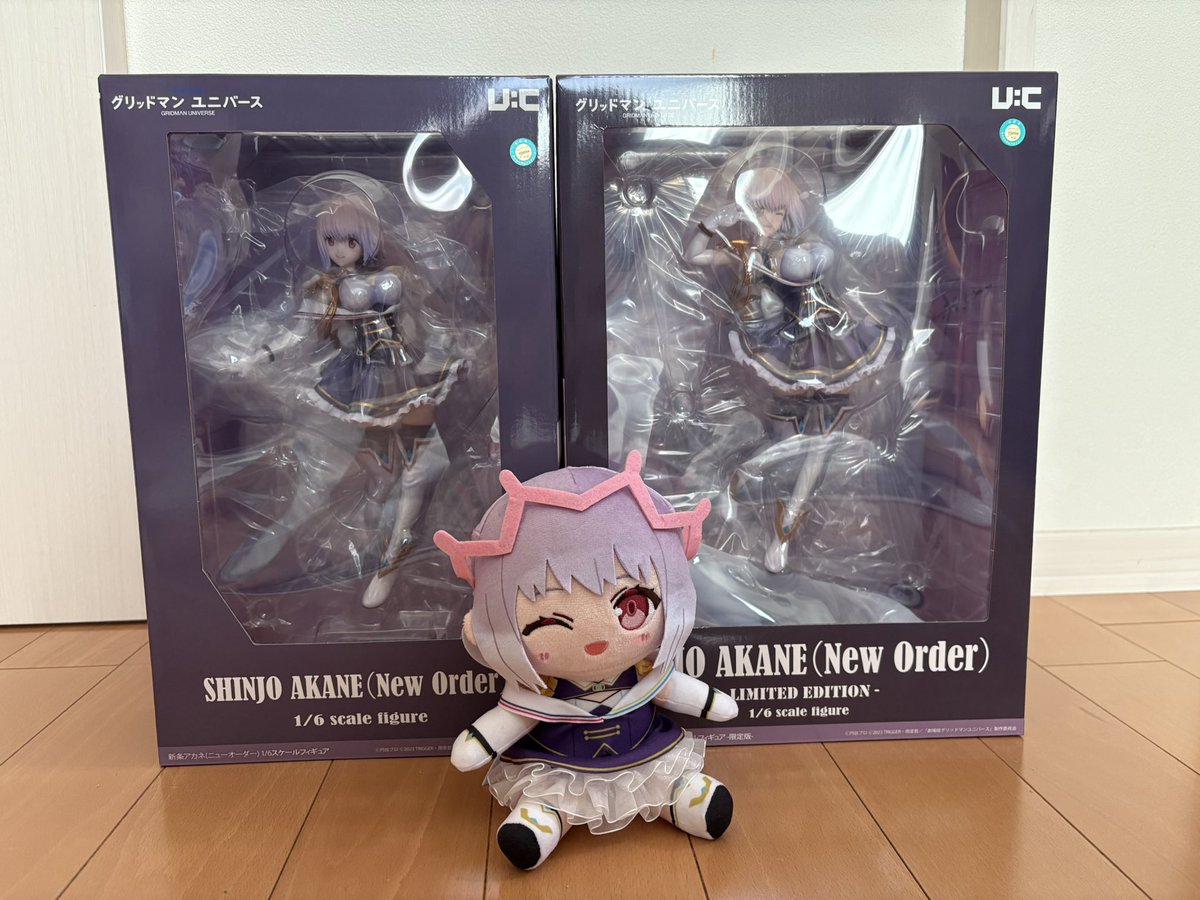 タケナ・イノウエ フィギュア 未開封 イナミ on X: 