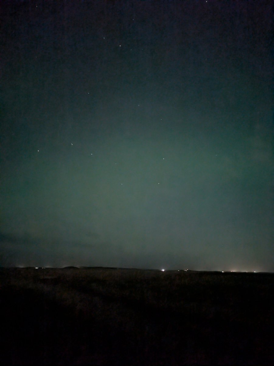 🇨🇦 Patrick O. Nature Photography 🇨🇦 🇺🇦 tweet media