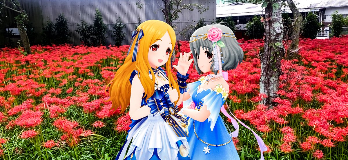 ひじゆめと川東公園の彼岸花群生地

#12時25分は聖と一緒に届けもちもち聖歌
#デレスポAR
#望月聖
#成宮由愛