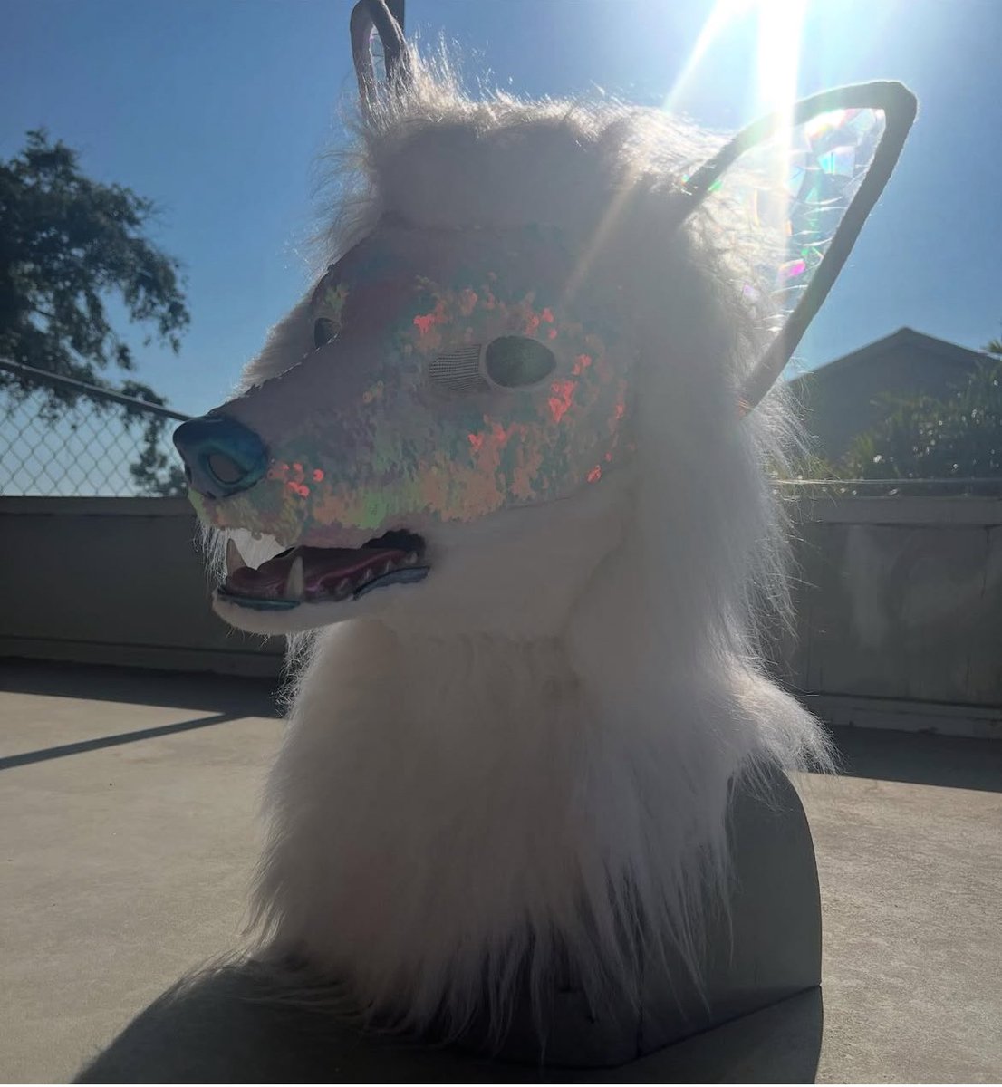 ✨Opal Dragon Dreams✨ tweet media