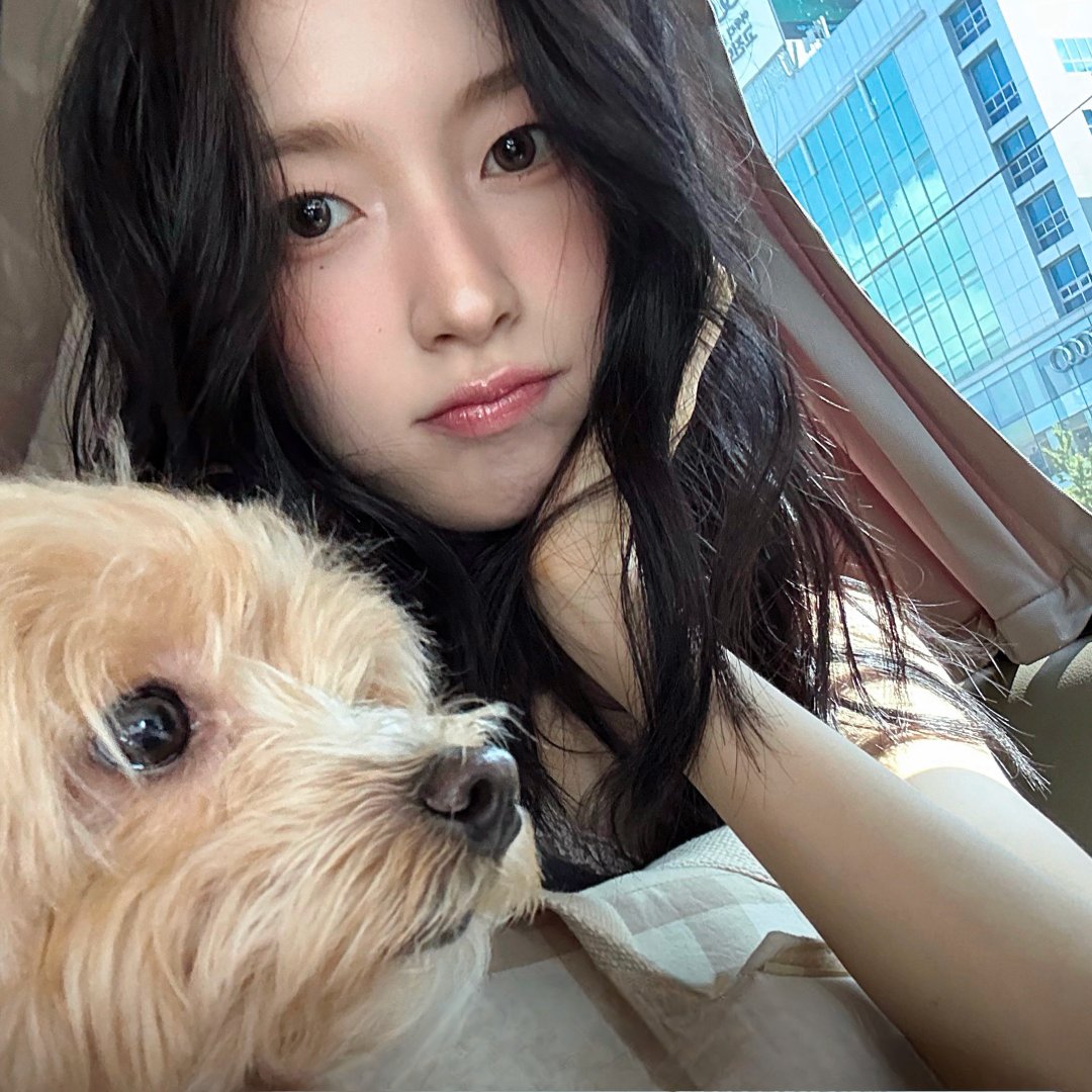 위버스 로고 지워버리기